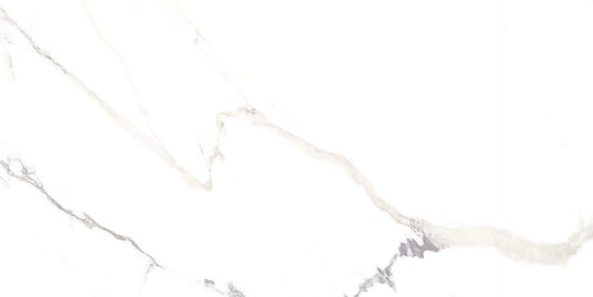 24X48 R POLARIS FD WHITE