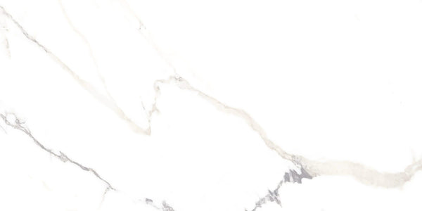 24X48 R POLARIS FD WHITE