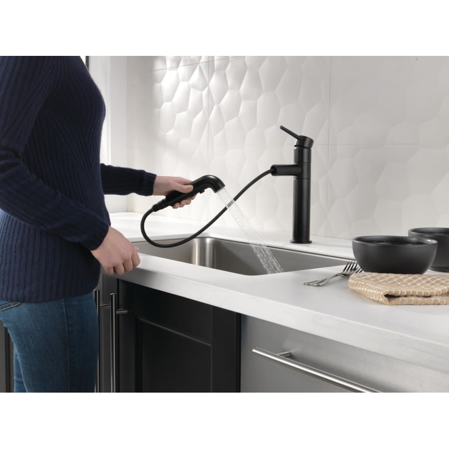 Trinsic Pull-Out Kitchen Faucet - Includes Lifetime Warranty