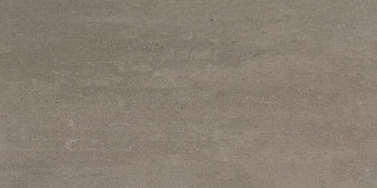 Theoretical Evolved Hibernate Brown Rectangle 12X24 Textured