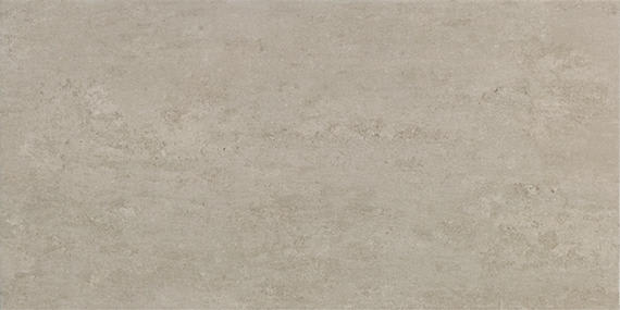 Theoretical Evolved Reflective Taupe Rectangle 12X24 Textured