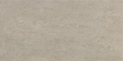 Theoretical Evolved Reflective Taupe Rectangle 12X24 Textured