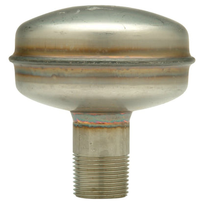 Water Hammer Arrestor, 3/4 in, MNPT, Stainless Steel