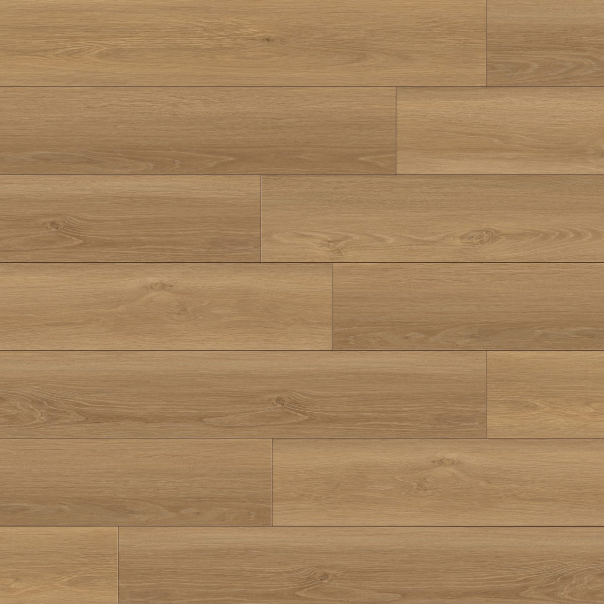 La Jolla Prospect 9x60 Laminate Floor