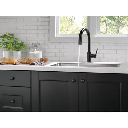 Trinsic Pull-Down Kitchen Faucet with Magnetic Docking Spray Head - Includes Lifetime Warranty