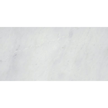 WINTER FROST CLASSICO 12X24