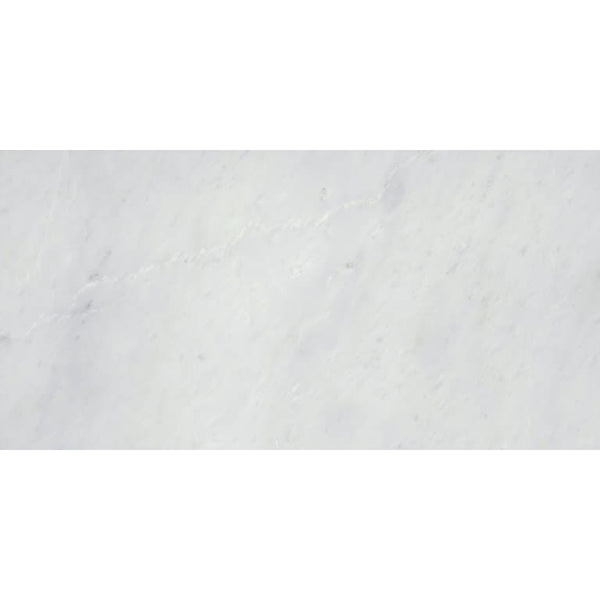 WINTER FROST CLASSICO 12X24