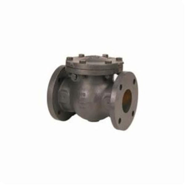 Swing Check Valve, 6 in, Flange, Cast Iron
