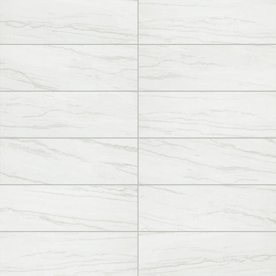 Platinum Oyster Rectangle 12X24 Matte