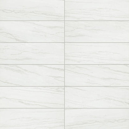 Platinum Oyster Rectangle 12X24 Matte