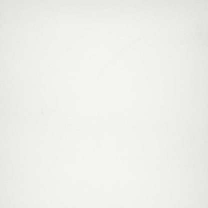CITIZEN CIVILIAN MT 24X24