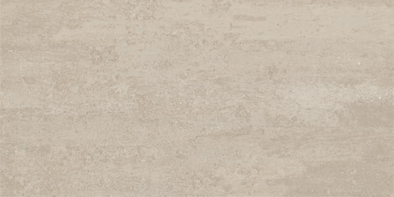 Theoretical Evolved Fundamental Gray Rectangle 12X24 Textured