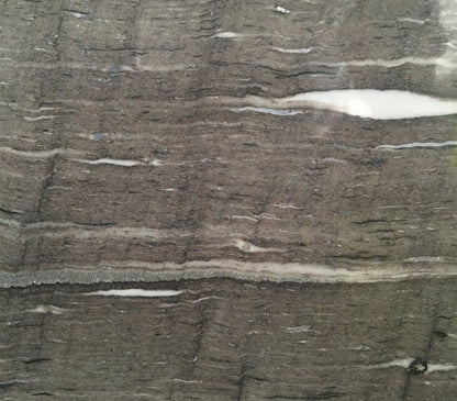Cygnus Vein Cut