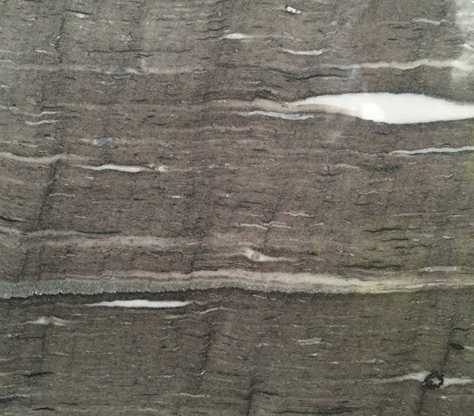 Cygnus Vein Cut