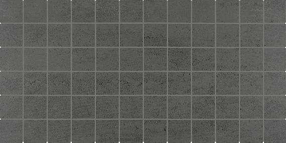 Theoretical Evolved Imaginative Gray Rectangle 12X24 Textured