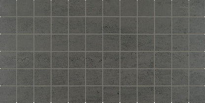 Theoretical Evolved Imaginative Gray Rectangle 12X24 Textured