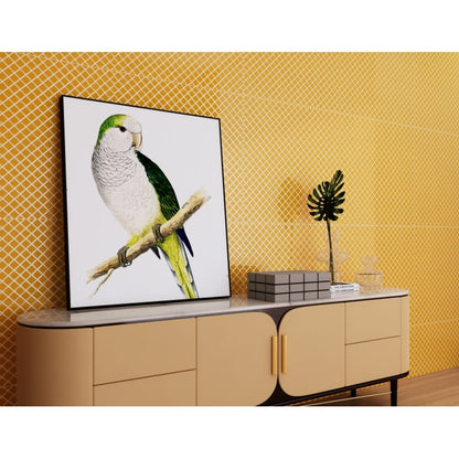 VECTORA YELLOW GL 24X47