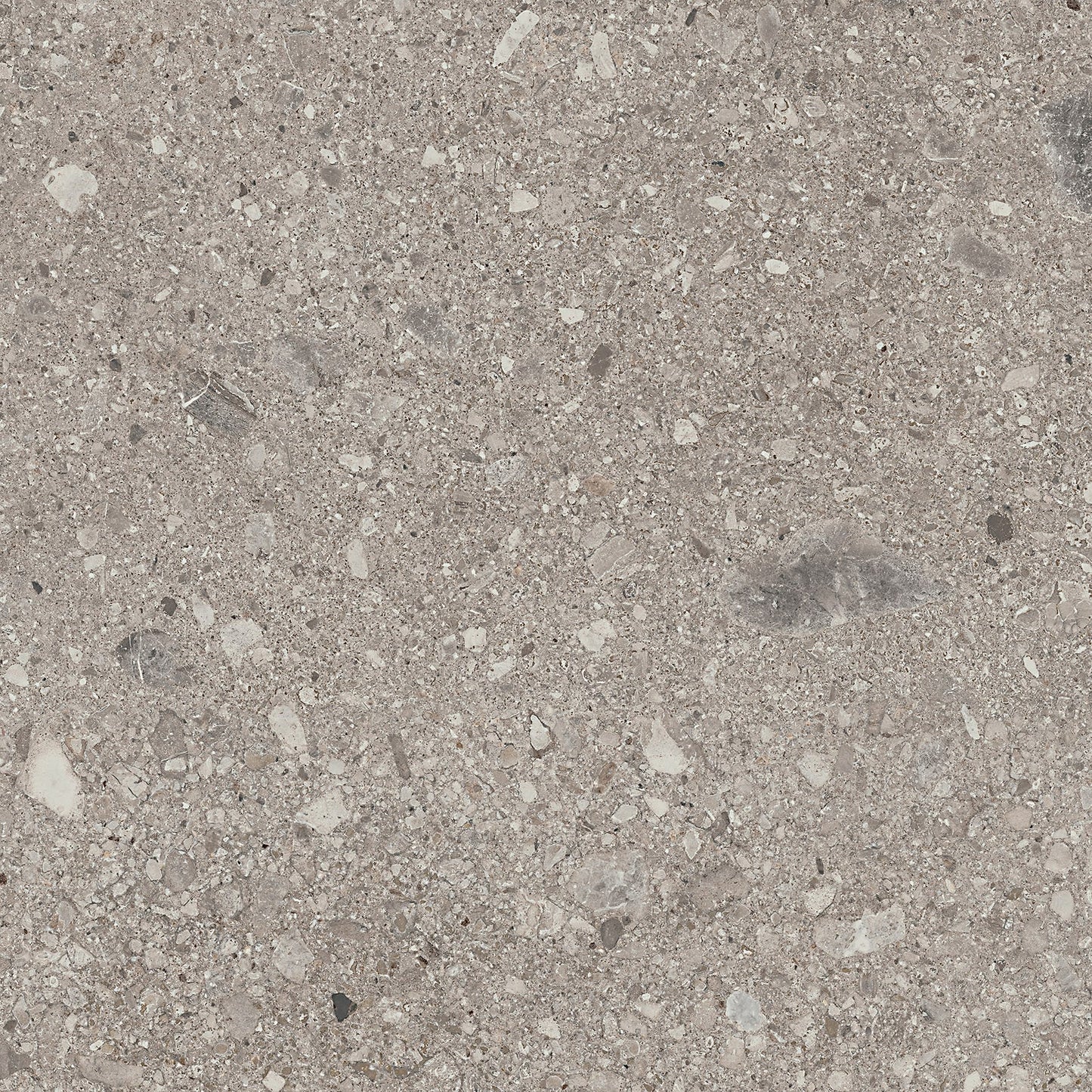Assemble Magistrate Square 30X30 Matte