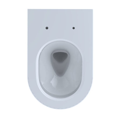 RP D-Shape Wall Mounted Toilet Bowl Only with CeFiONtect