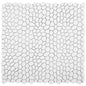 REVIFY WHITE MT DOT/MO