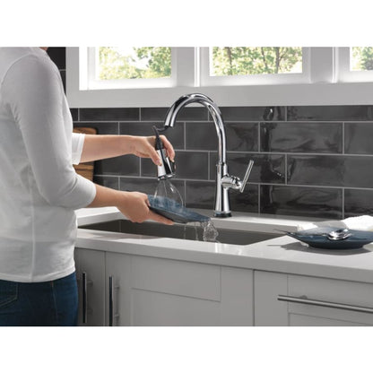 Coranto 1.8 GPM Single Hole Pull Down Kitchen Faucet with On/Off Touch Activation, Magnetic Docking Spray Head and ShieldSpray