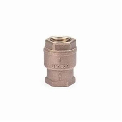 Spring Check Valve, 2 in, FNPT, Bronze