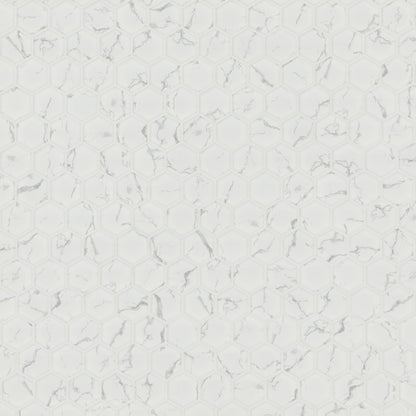 Carrara Matte 2" Hexagon