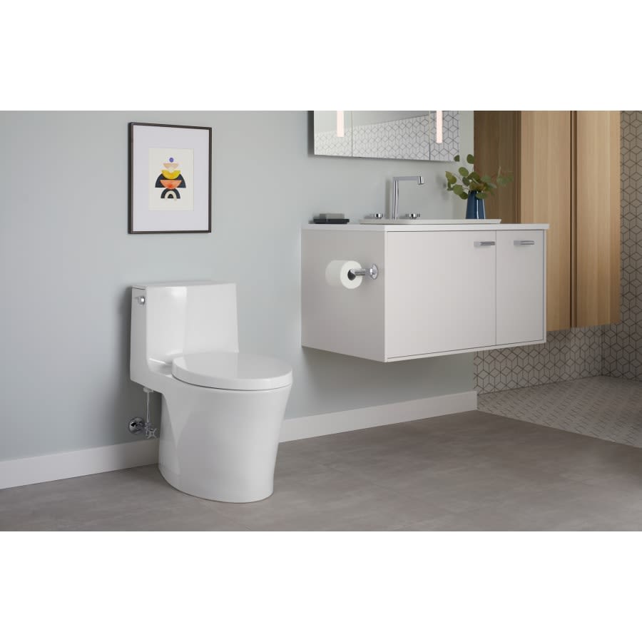 Veil One-piece Elongated Dual-Flush Toilet with Skirted Trapway