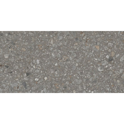 PERENNE JAVA MT 12X24