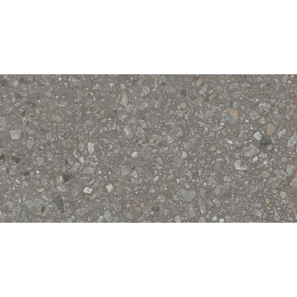 PERENNE JAVA MT 12X24