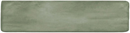 Artcrafted Aloe Rectangle, Handcrafted 3X12 Glossy