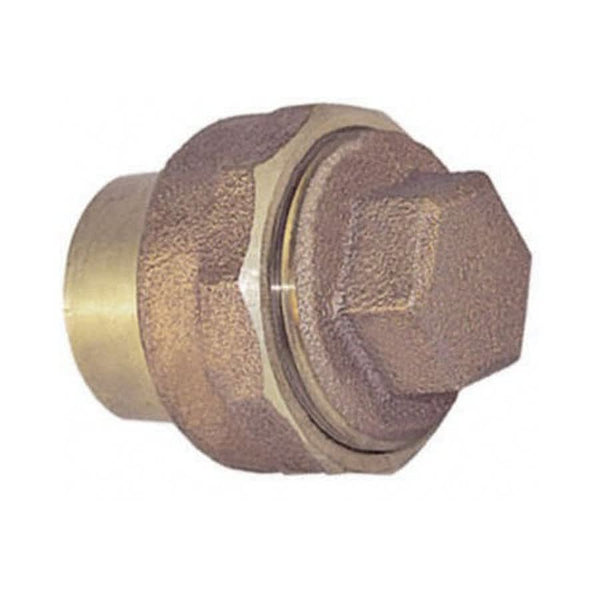 DWV Cleanout Adapter, 1-1/2 x 1 in, Fitting x Cleanout, Copper