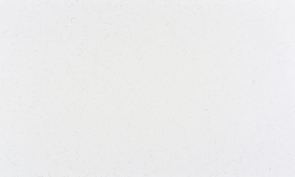 White Carrera