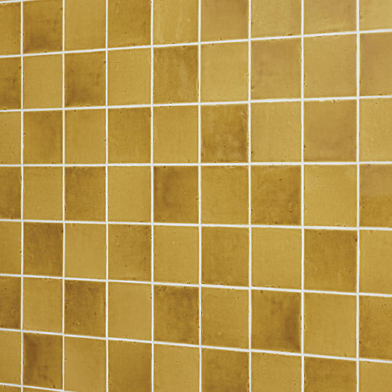 Contempee Marigold Square, Star 4X4 Glossy