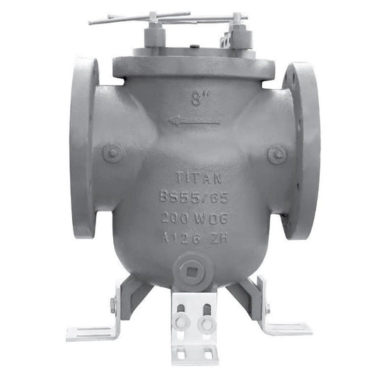 Strainer, 5 in, Flange, Cast Iron