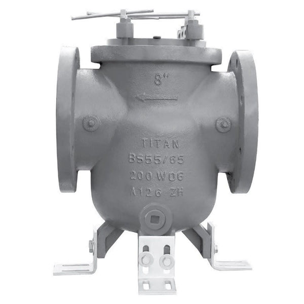 Strainer, 8 in, Flange, Cast Iron