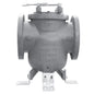 Strainer, 4 in, Flange, Cast Iron