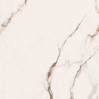 Omnia Macchia Vecchia