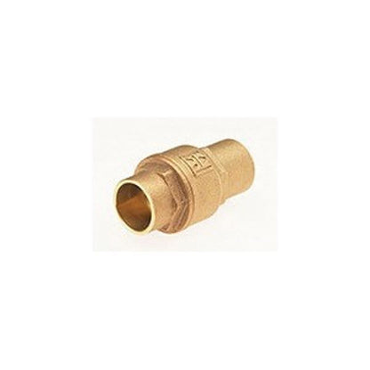 Ultra Pure™ Spring Check Valve, 1 in, C, Bronze