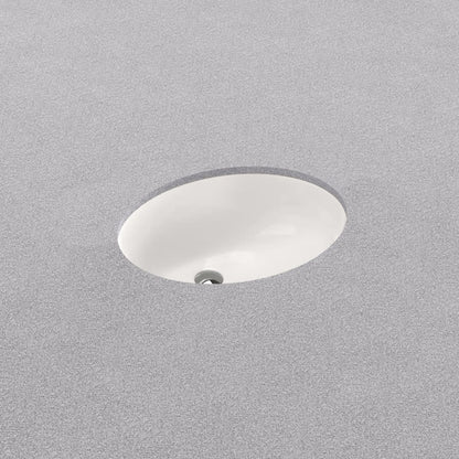 Comstock 19-1/2" Oval Vitreous China Undermount Bathroom Sink with Overflow