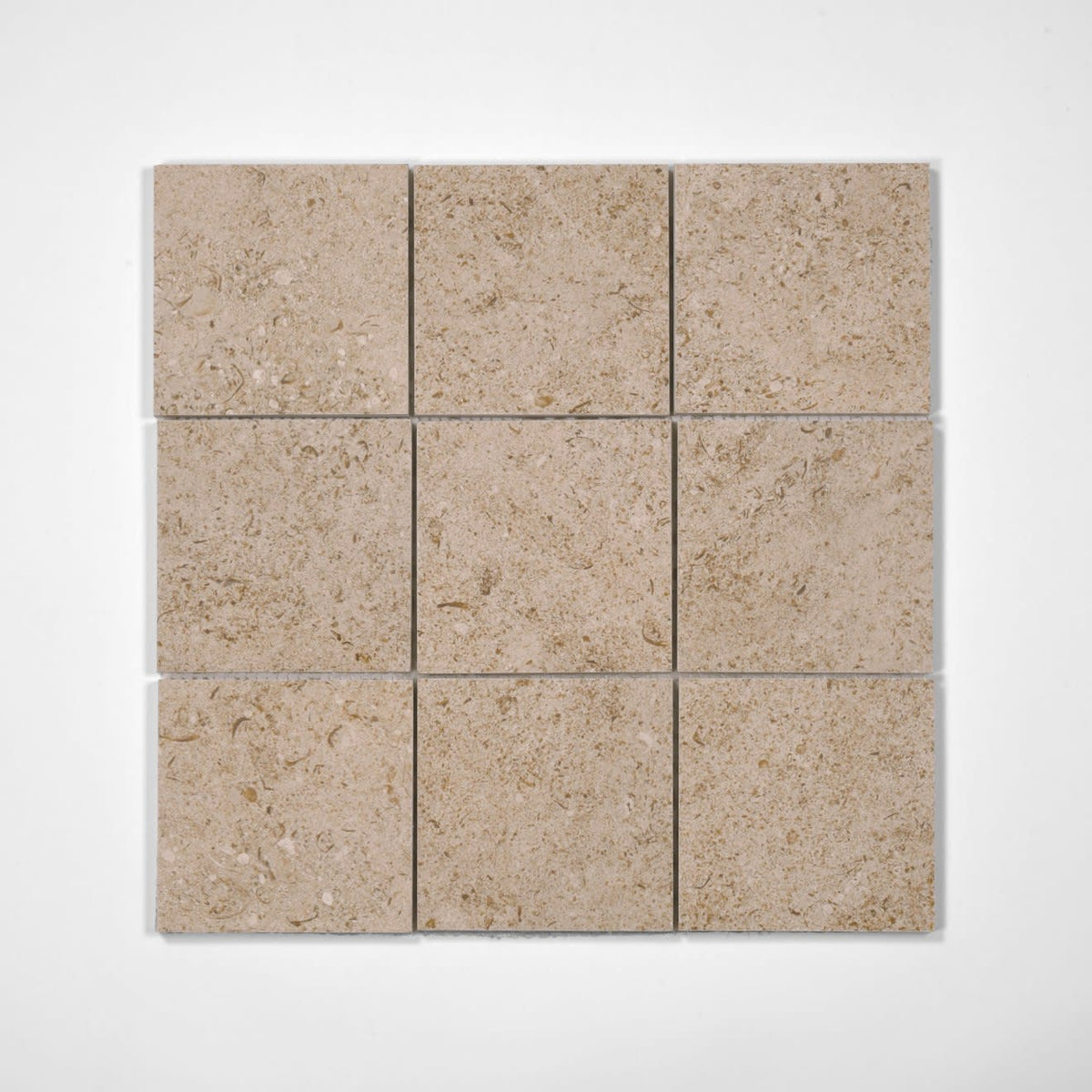 Ikonite 4" x 4" Honed Porcelain Mosaic in Grey