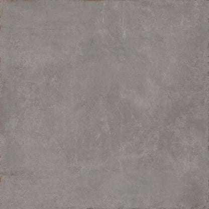 COGENT GRAY 31X31