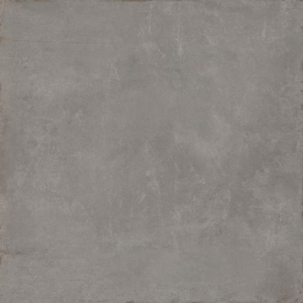 COGENT GRAY 31X31