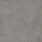 COGENT GRAY 31X31