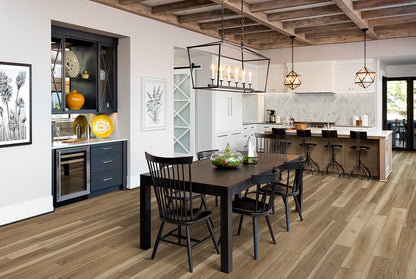 Arabescato Venato Argyle Honed