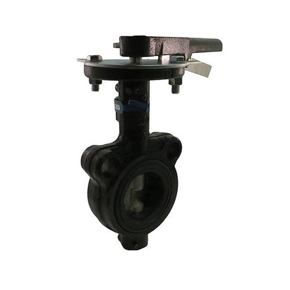 Wafer Style Butterfly Valve, Lever Handle, 3 in, Flange, Ductile Iron