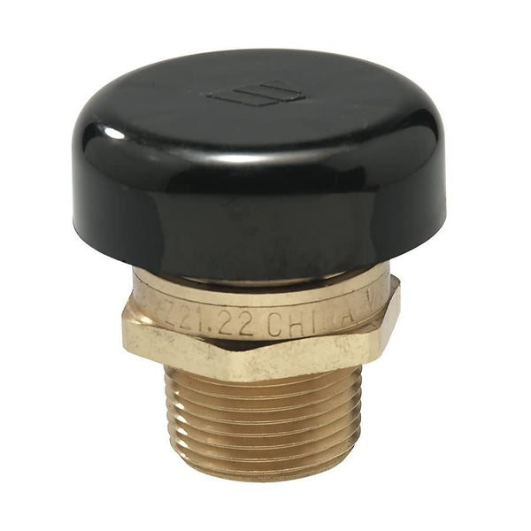 Vacuum Relief Valve, 3/4 in, MNPT, Brass