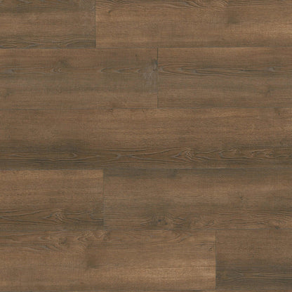 SHORECLIFFS - ROGHAN 8.98X87 - 12MM - AC