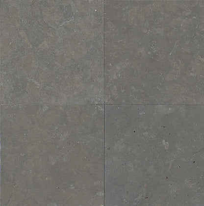 Limestone Lagos Blue Rectangle 12X24 Leather