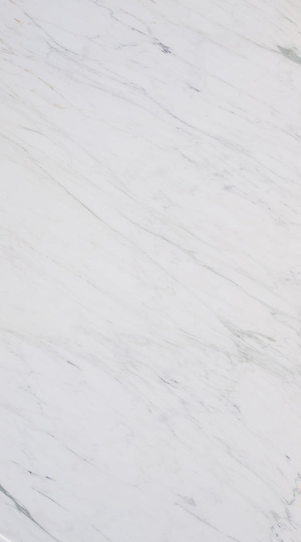Calacatta Caldia Honed